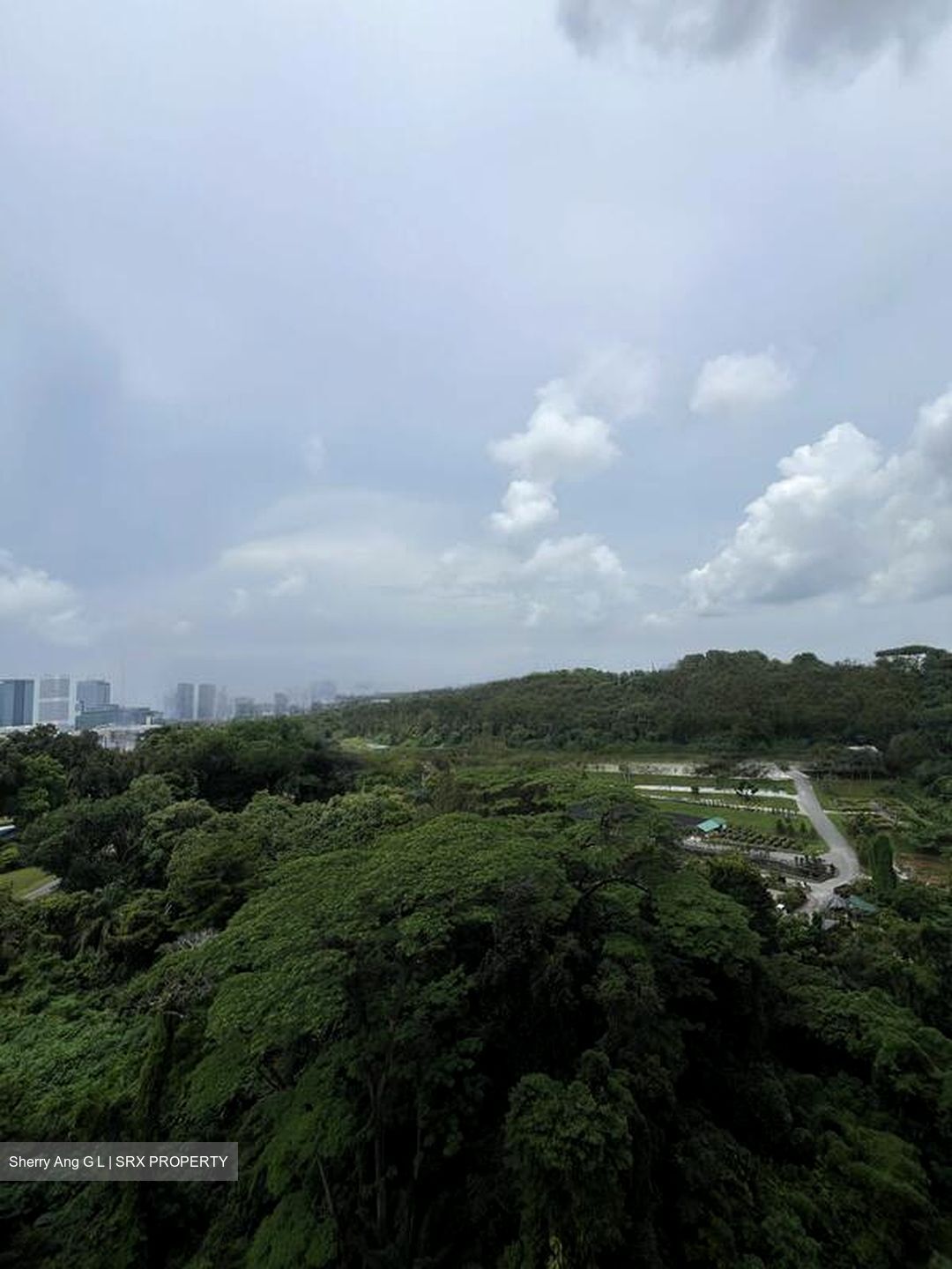 Normanton Park (D5), Apartment #470457531